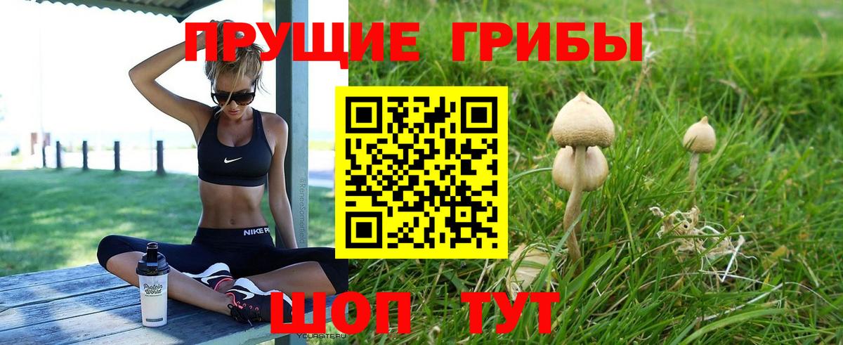 Галлюциногенные грибы ЛСД  Вход с VPN  Осинники  Галлюциногенные грибы Magic Shrooms 